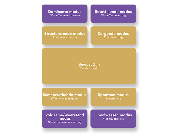 Functional Fluency model