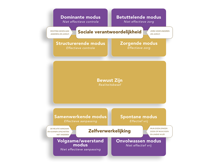 Functional Fluency model